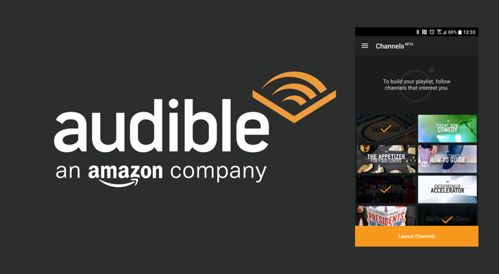 Read more about the article Amazon finally launched its Audible store for audio books in India
